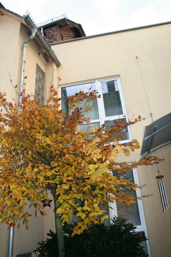 Apartpeterstor มอนทาเบาอาร์ ภายนอก รูปภาพ